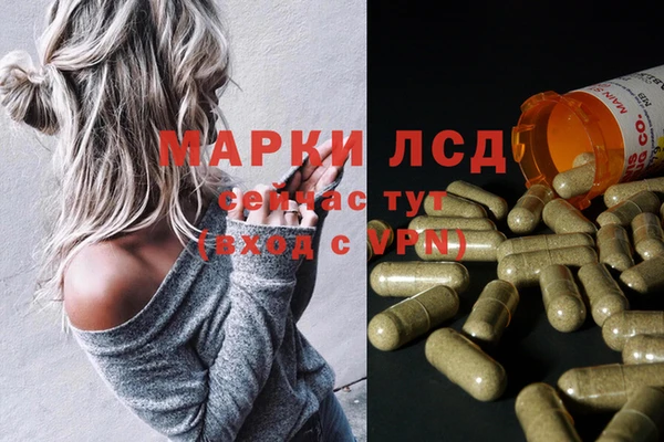 стафф Армянск