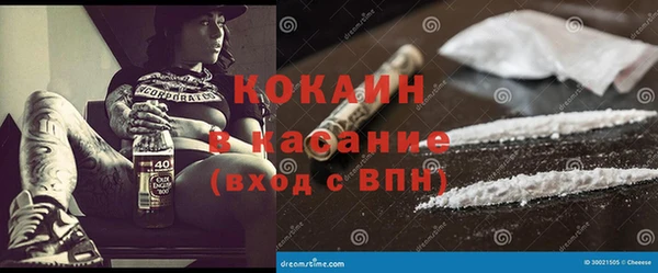 дживик Арсеньев