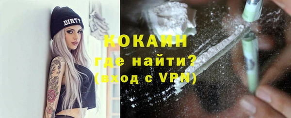 дживик Арсеньев